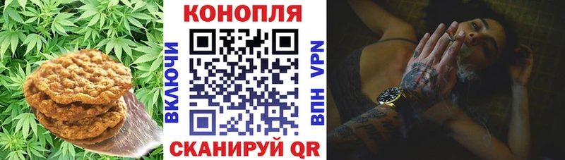 ОМГ ОМГ как войти  Луховицы  shop телеграм  Печенье с ТГК марихуана 