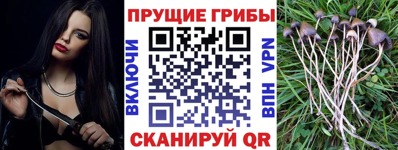 Галлюциногенные грибы Magic Shrooms  купить   Луховицы 